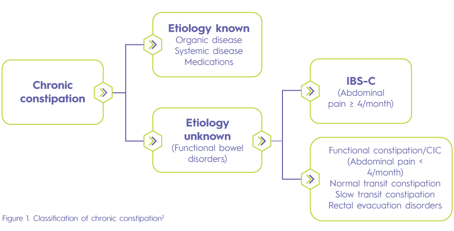 bixibat-emailer1-graph1-image